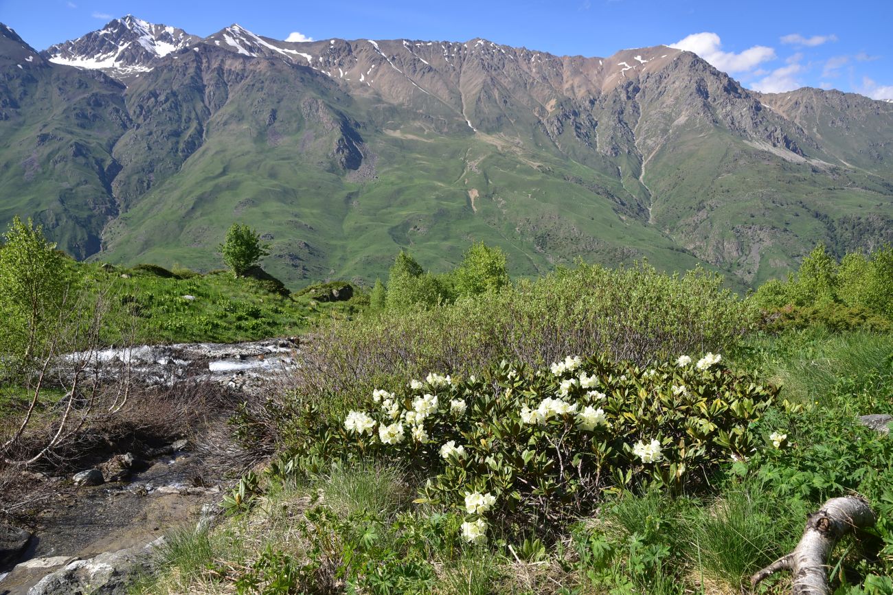 Река Когутайка, image of landscape/habitat.