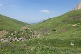 Гора Ерыдаг, image of landscape/habitat.
