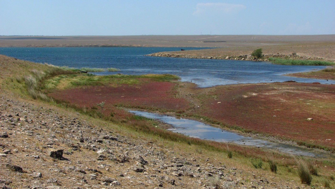 Донузлав, image of landscape/habitat.