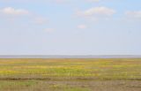 Image of landscape