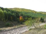 Image of landscape