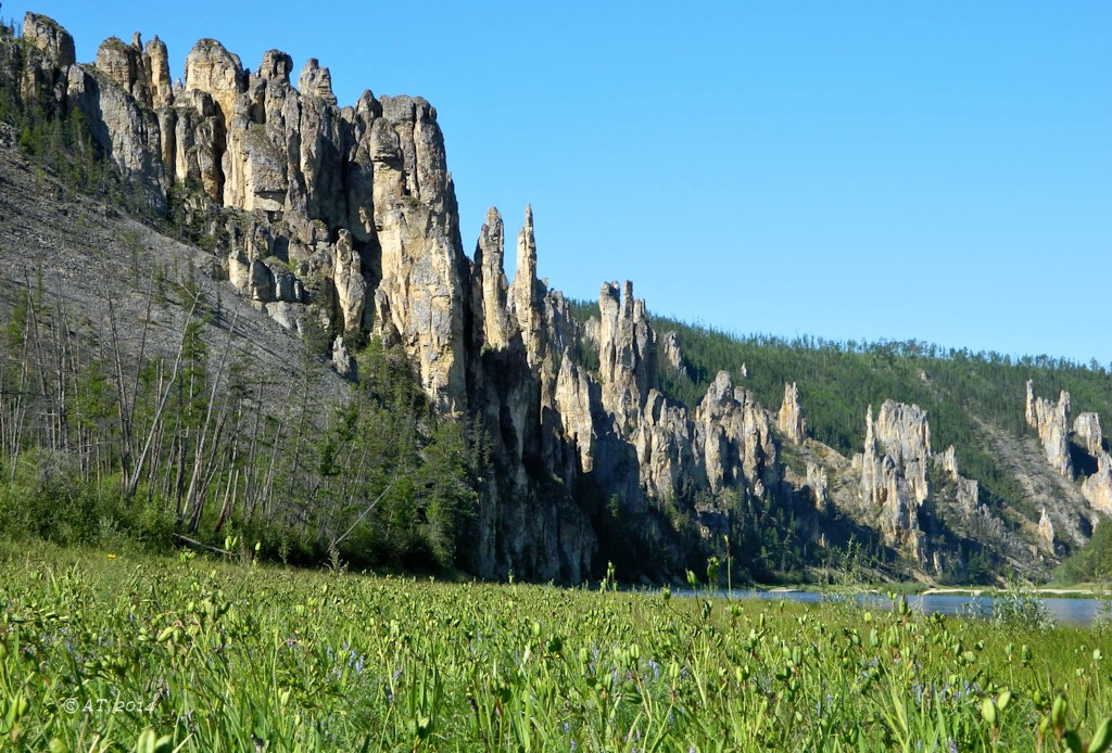 Река Синяя, image of landscape/habitat.