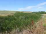 Image of landscape