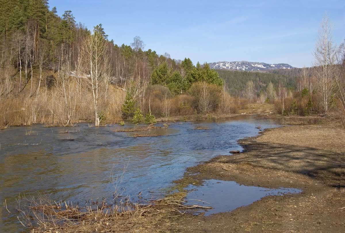 Окрестности деревни Бердагулово, image of landscape/habitat.