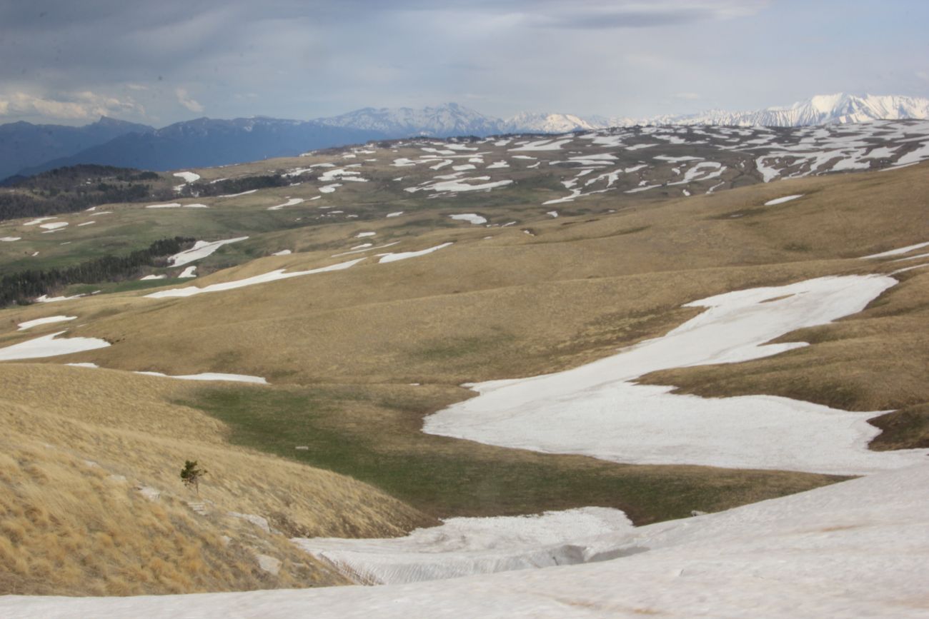 Окрестности ручья Молочка, image of landscape/habitat.