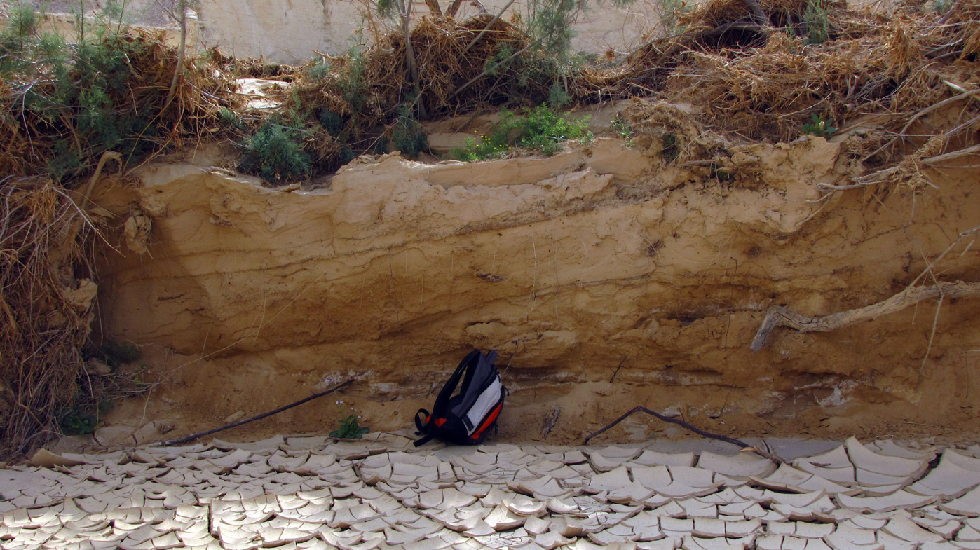 Нахаль Цын, image of landscape/habitat.