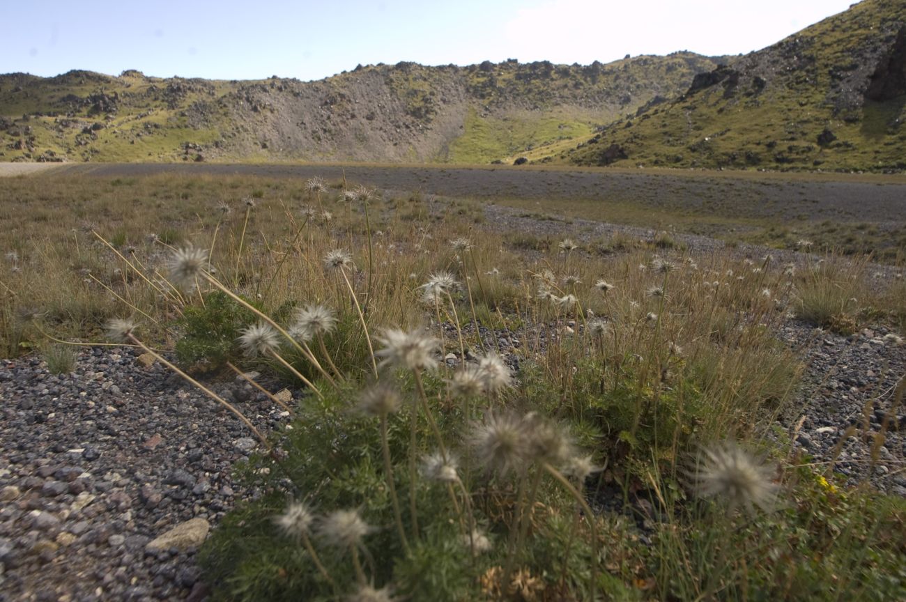 Урочище Аэродром, image of landscape/habitat.