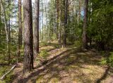 Запрудня, image of landscape/habitat.
