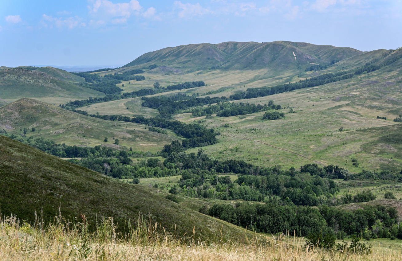 Окрестности города Кувандык, image of landscape/habitat.