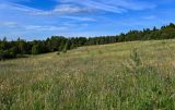 Image of landscape
