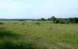 Зуй, image of landscape/habitat.