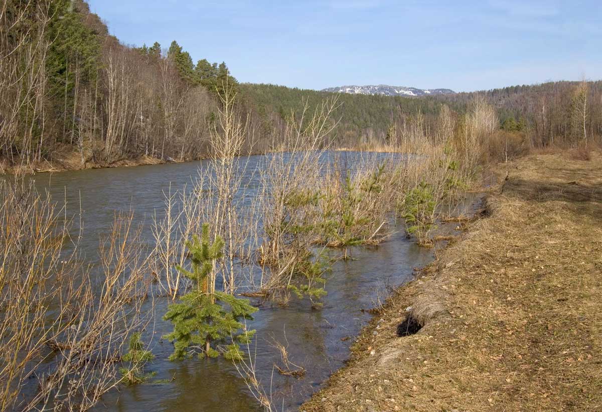 Окрестности деревни Бердагулово, изображение ландшафта.