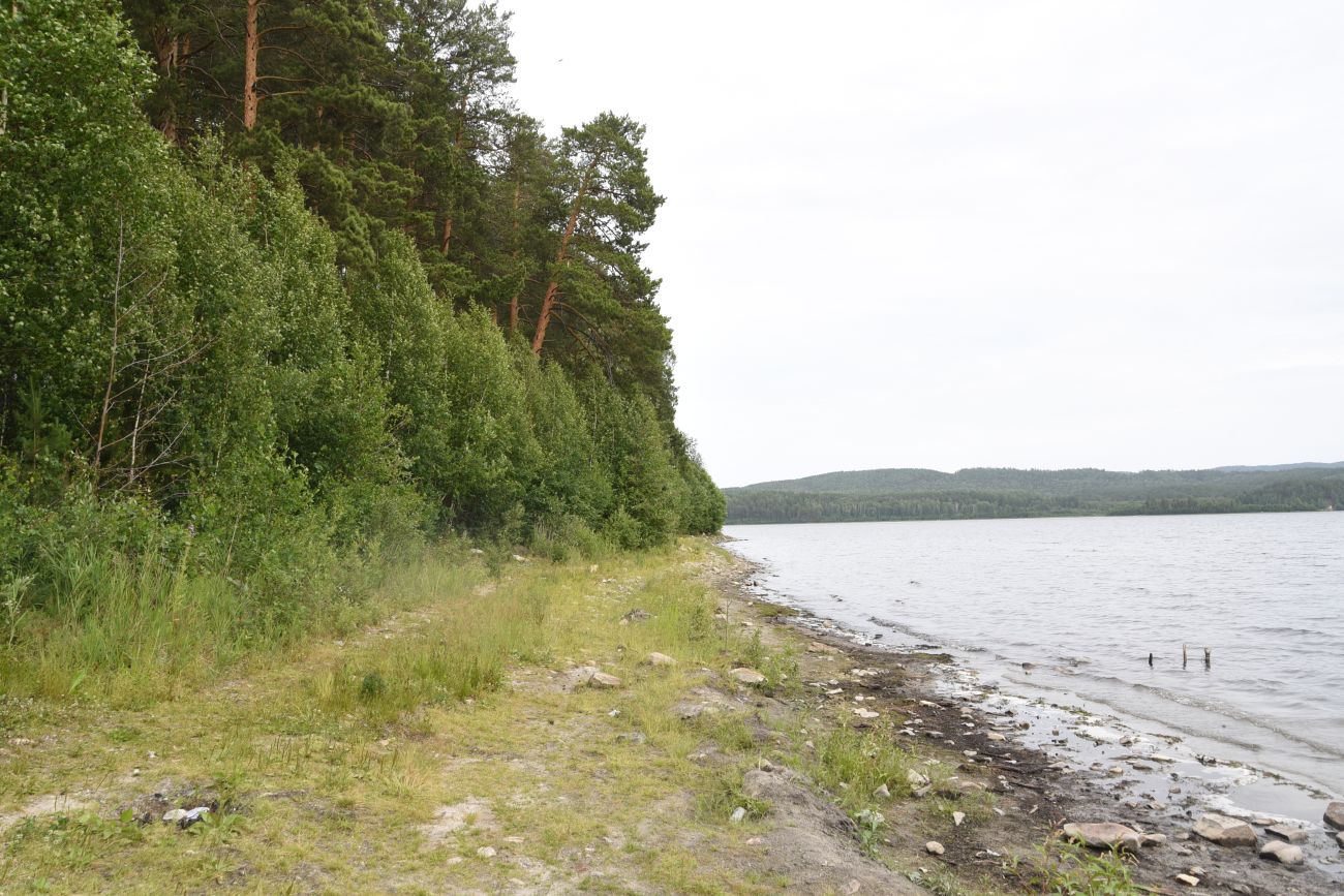Озеро Аракуль, image of landscape/habitat.