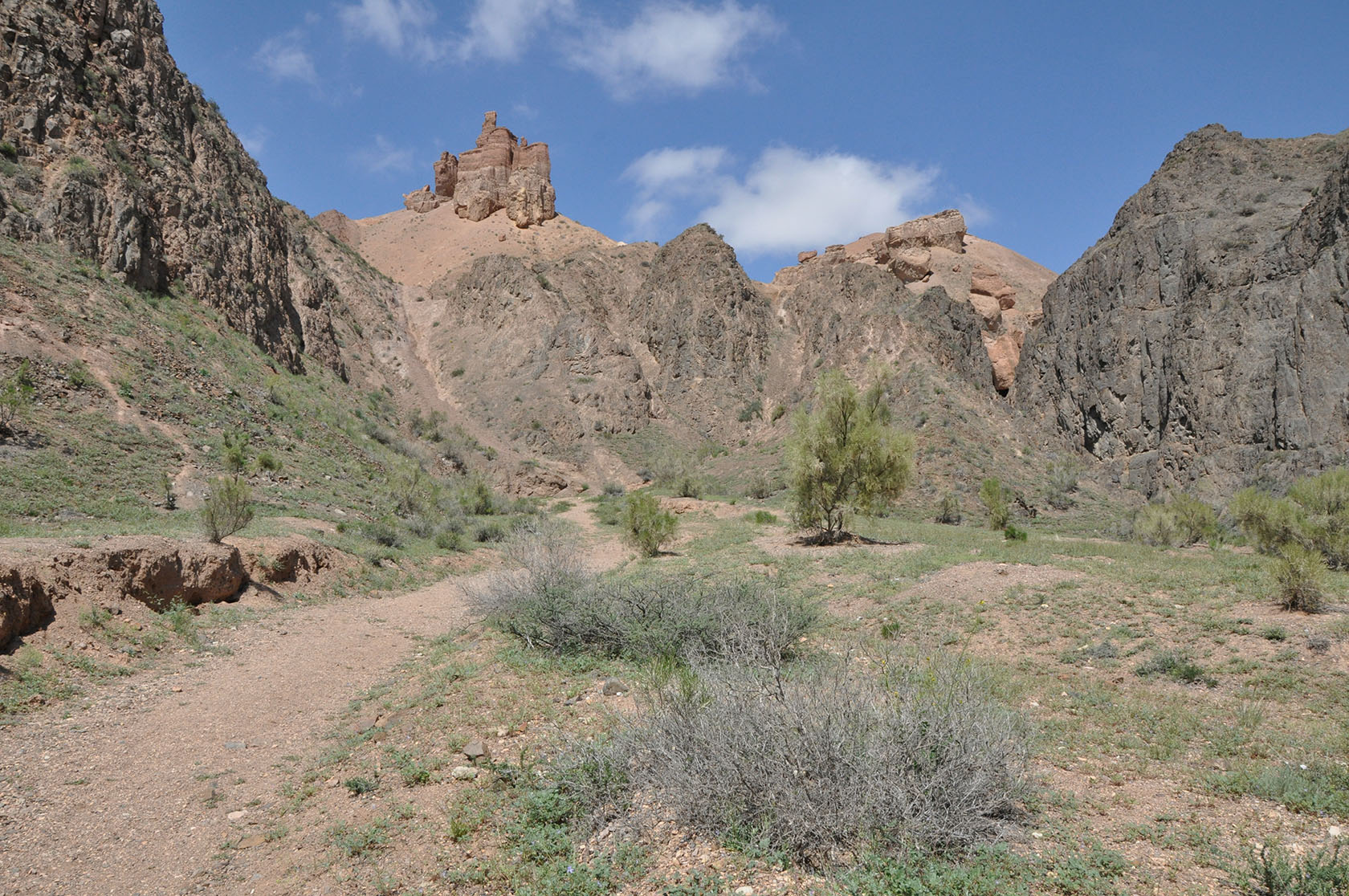 Долина Замков, image of landscape/habitat.