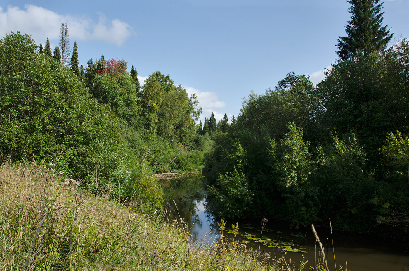Окрестности посёлка Березники, image of landscape/habitat.