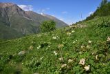 Image of landscape