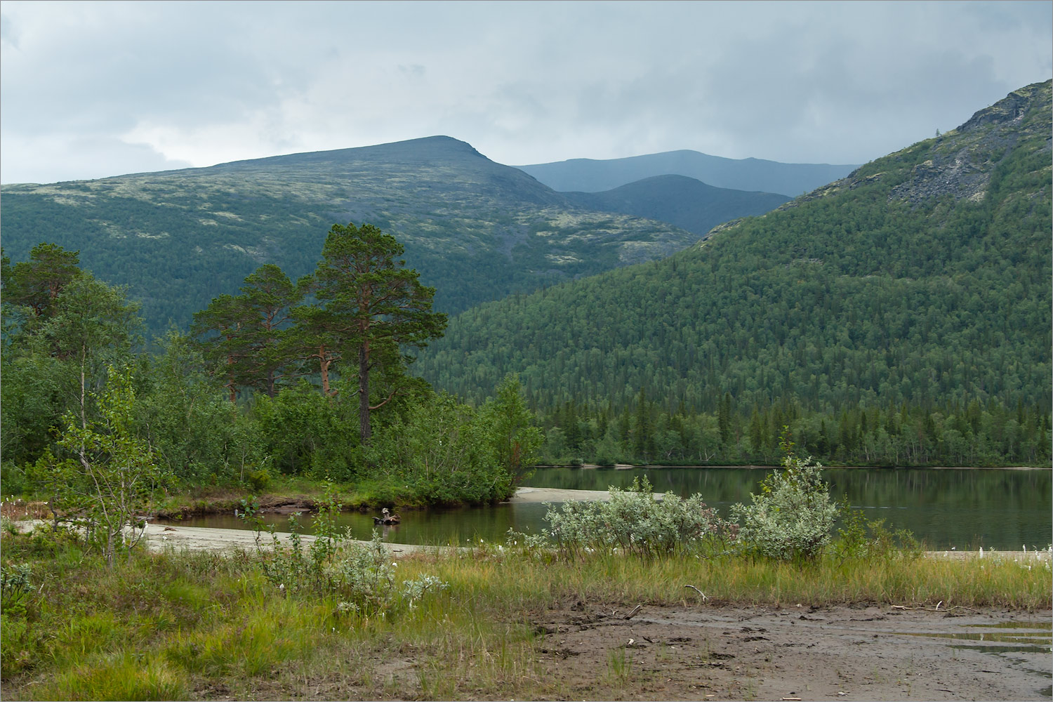 Озеро Гольцовое, image of landscape/habitat.