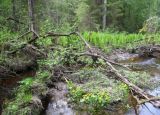 Image of landscape