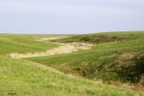 Image of landscape