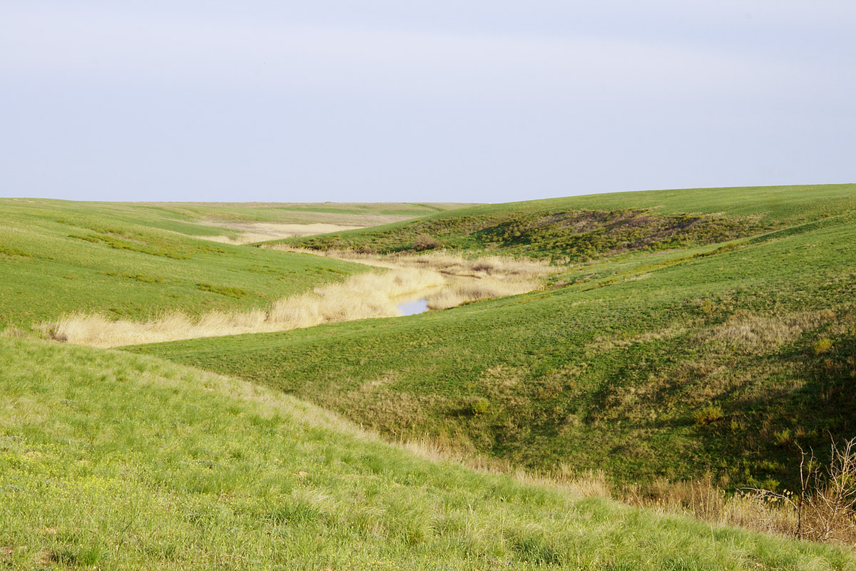 Эльтон, image of landscape/habitat.
