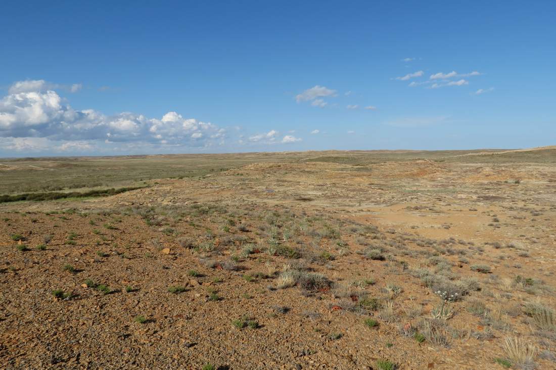 Граниты севернее залива Актас, image of landscape/habitat.