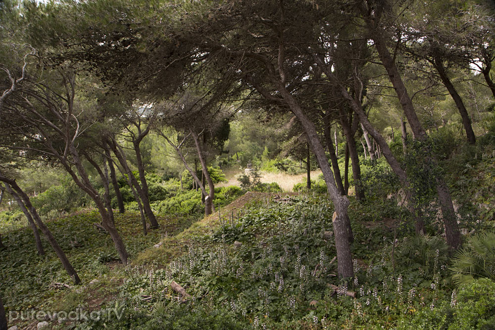 Санта Мария ди Леука, image of landscape/habitat.