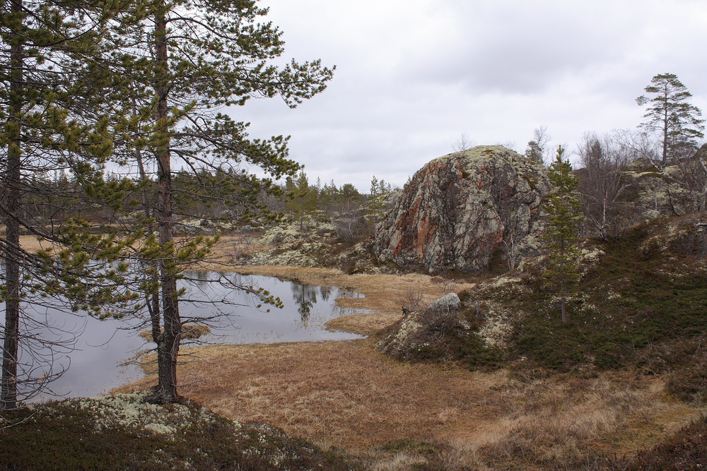 Могильный Ров, image of landscape/habitat.