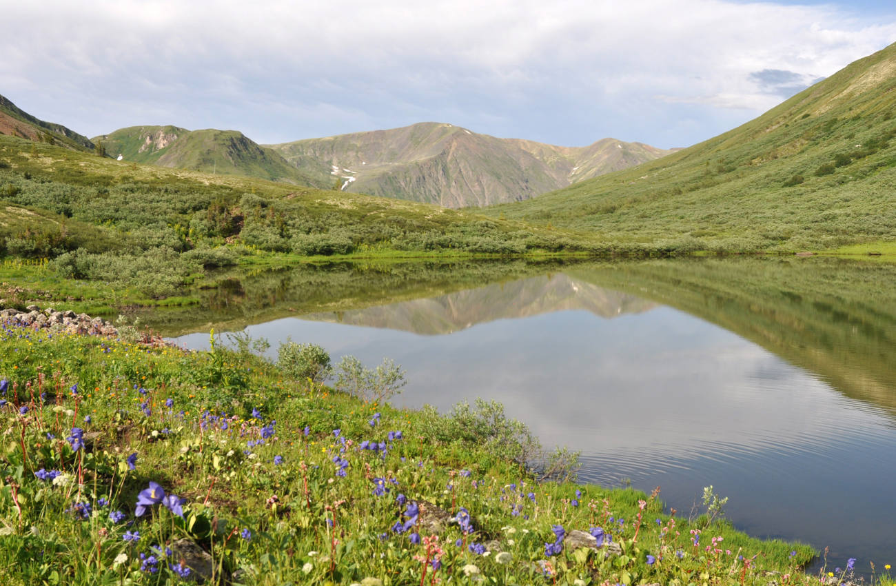 Перевал Чойган-Дабан, image of landscape/habitat.