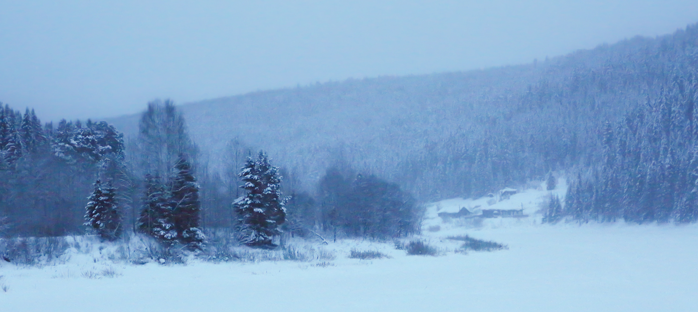 Кын и его окрестности, image of landscape/habitat.