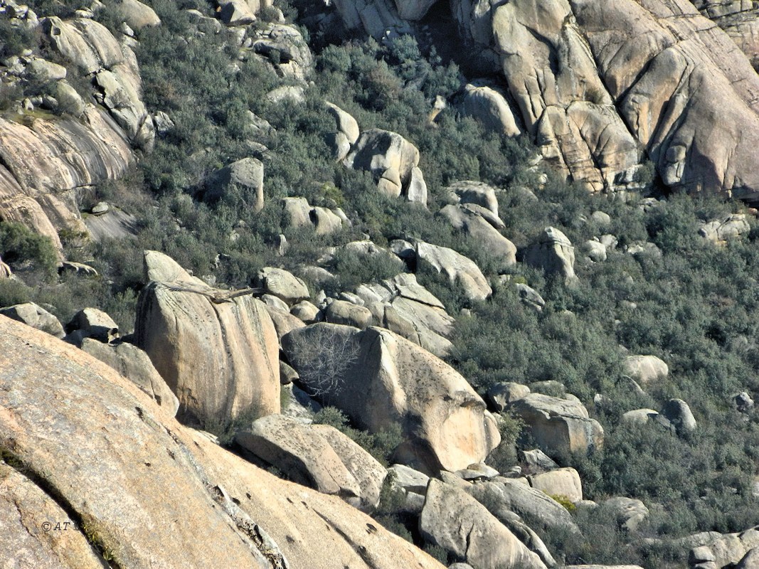 El Yelmo (Эль Ельмо), image of landscape/habitat.