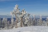 Хребет Суртанды, image of landscape/habitat.