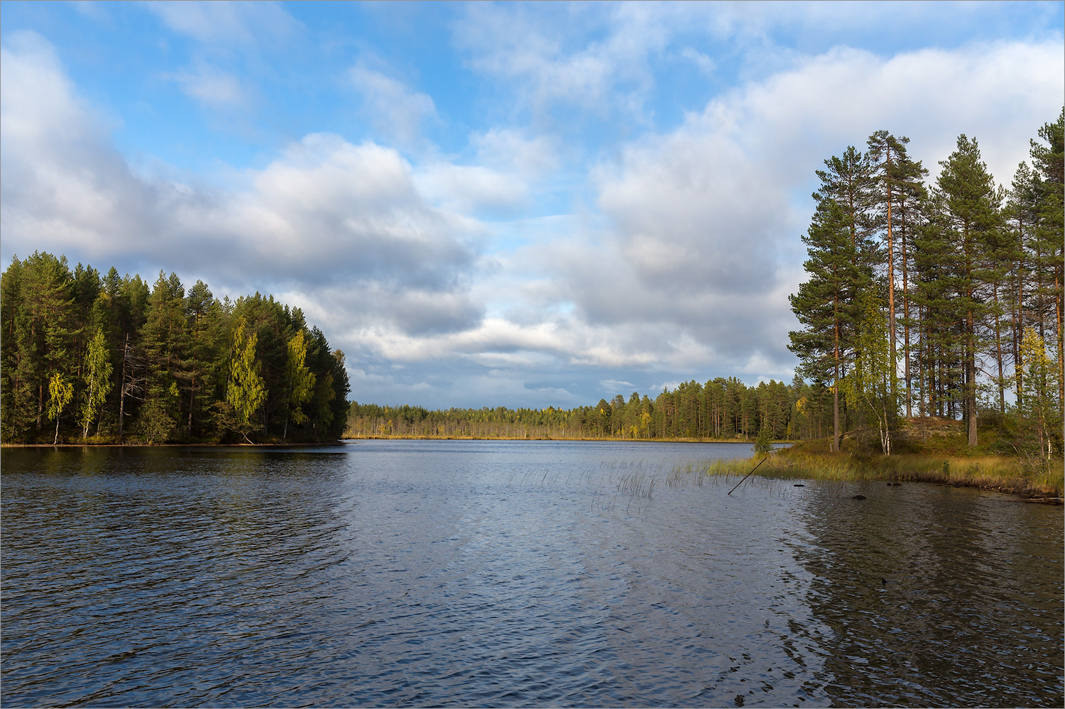Толвоярви, image of landscape/habitat.