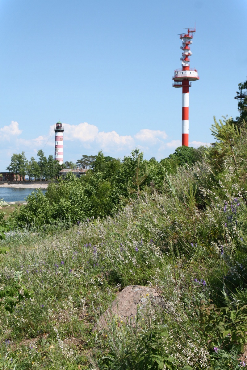 Шепелёвский маяк, изображение ландшафта.