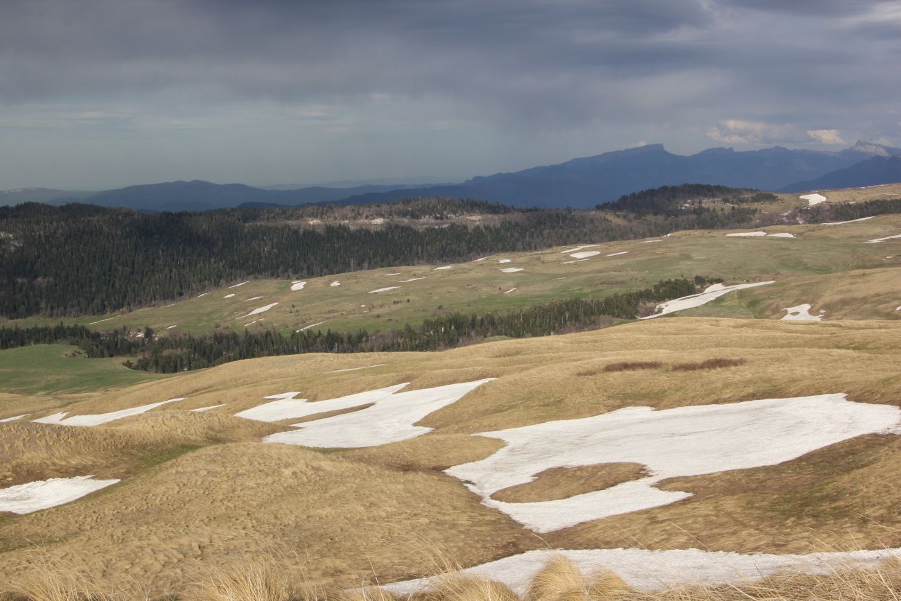 Окрестности ручья Молочка, image of landscape/habitat.