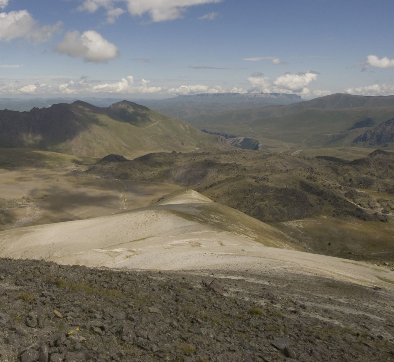 Урочище Седое Плечо, image of landscape/habitat.