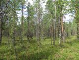 Image of landscape