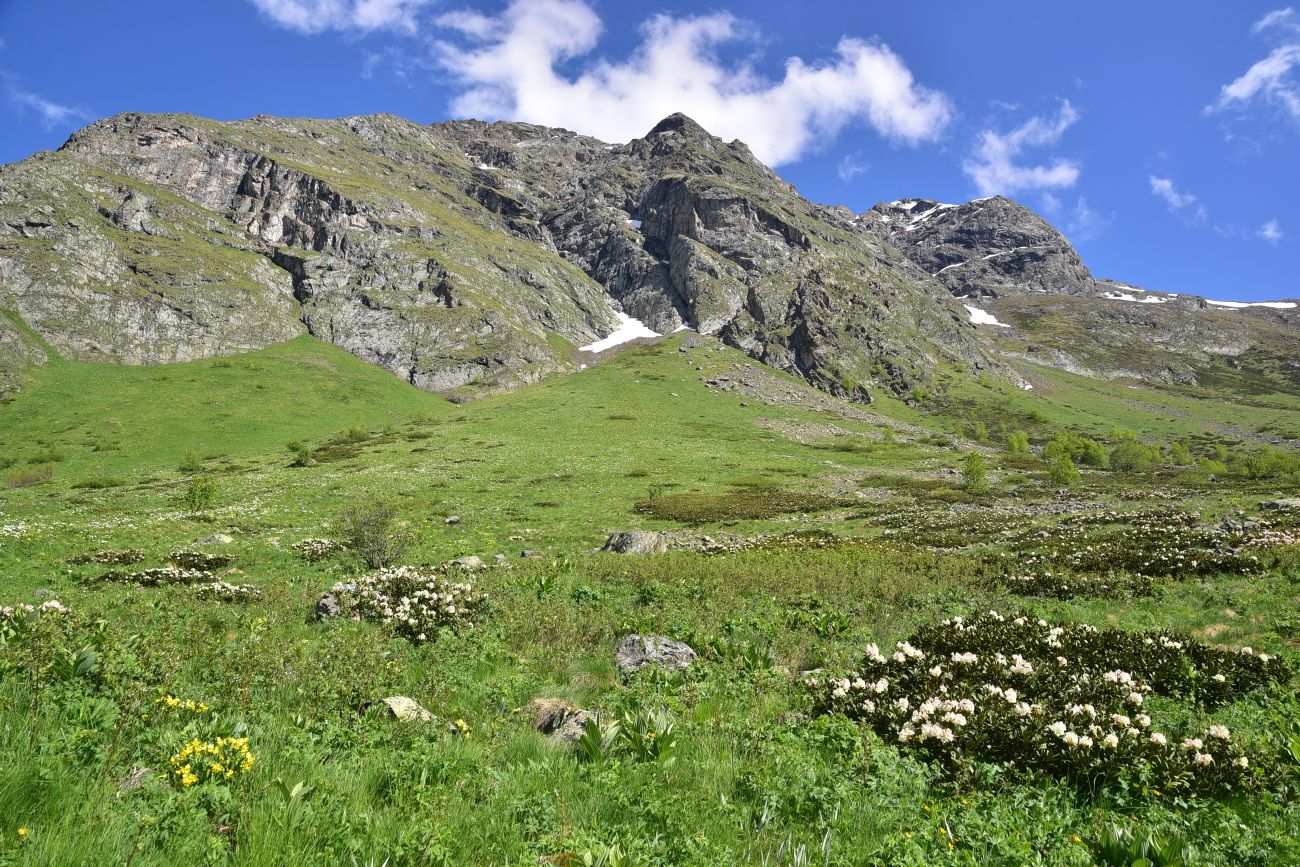 Река Когутайка, image of landscape/habitat.