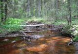 Image of landscape