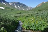Перевал Чойган-Дабан, image of landscape/habitat.