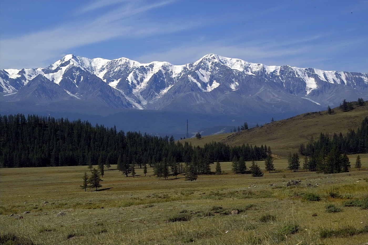 Курай, image of landscape/habitat.