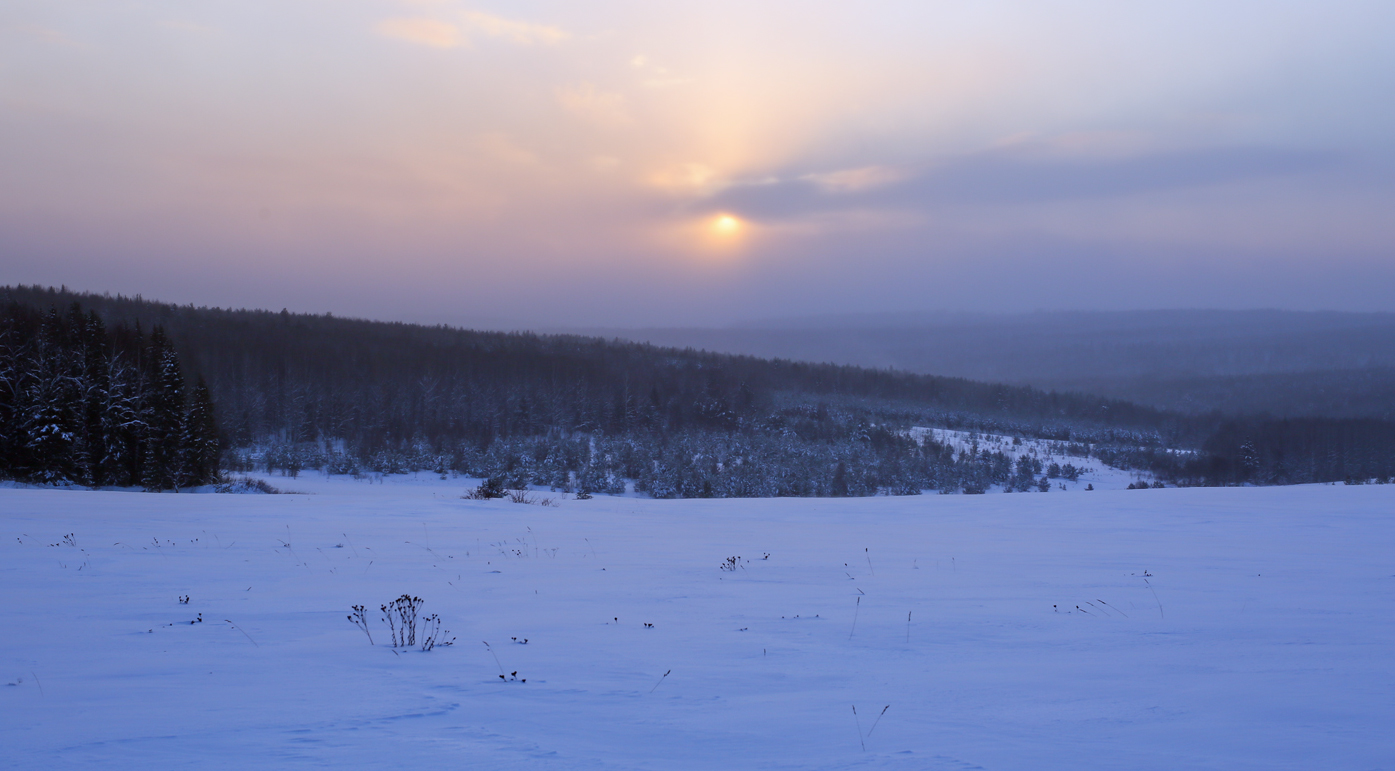 Кын и его окрестности, image of landscape/habitat.