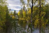 Толвоярви, image of landscape/habitat.