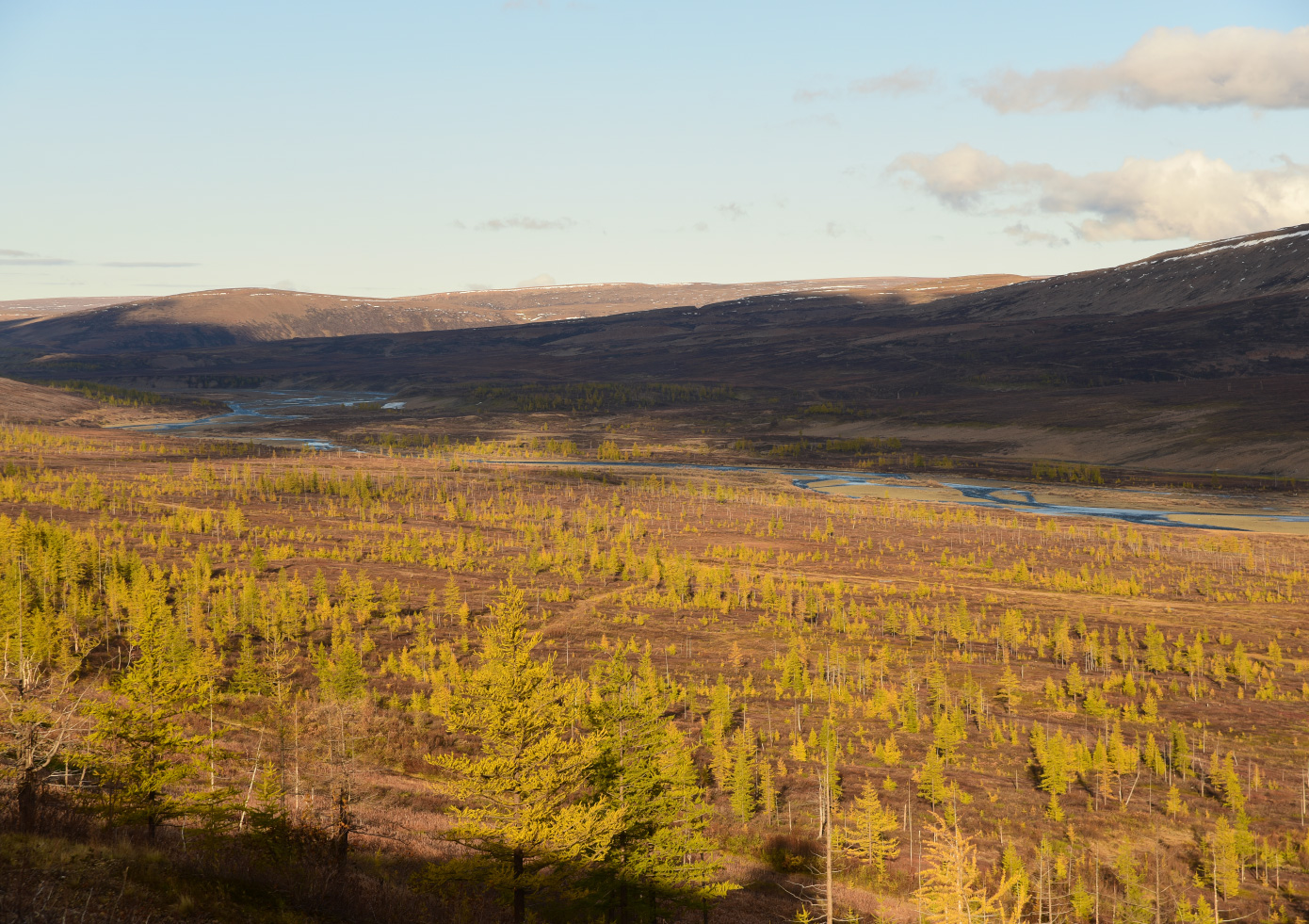 Окрестности района Талнах, image of landscape/habitat.