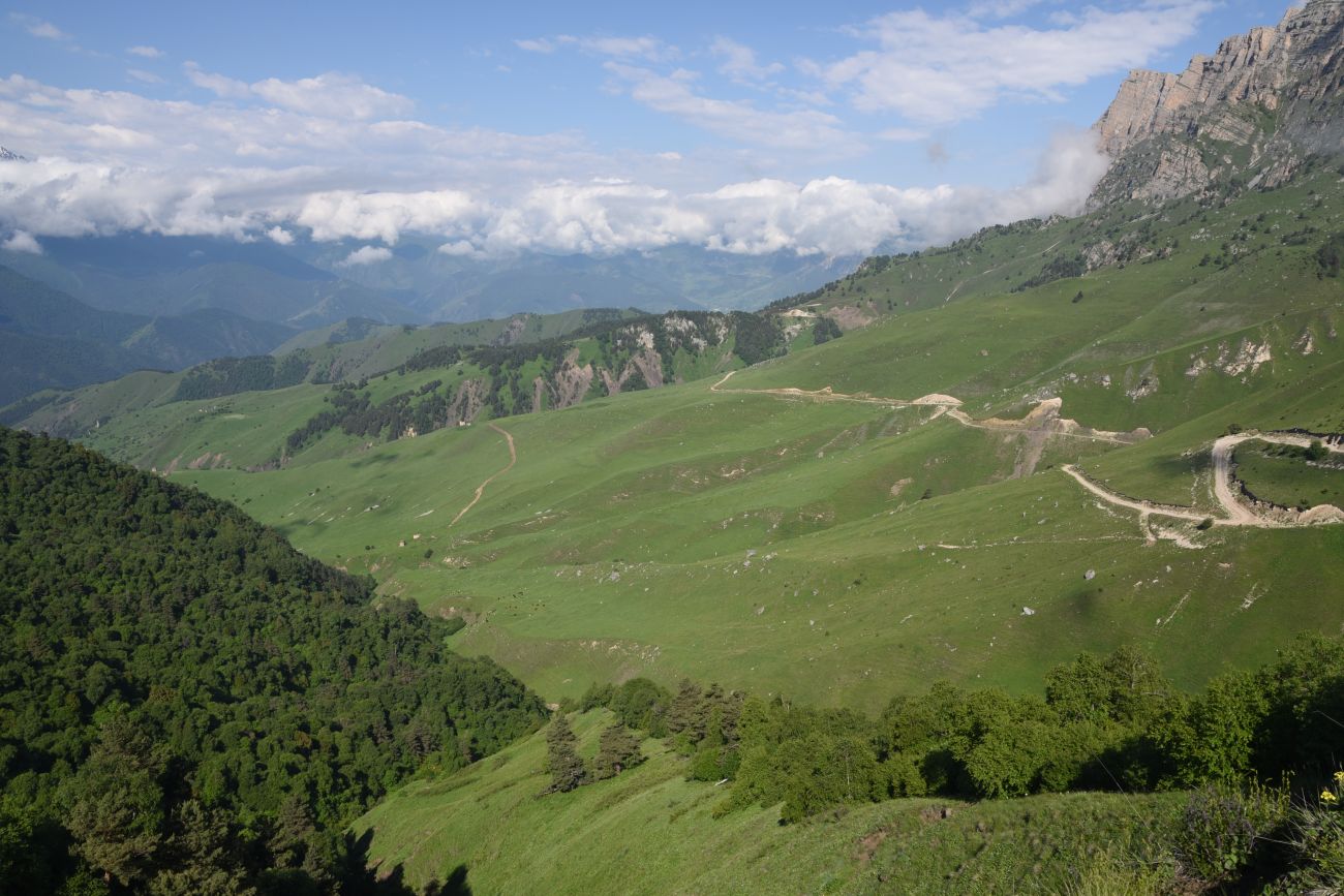 Окрестности урочища Мусиево, изображение ландшафта.