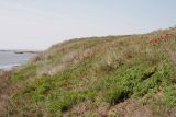 Image of landscape