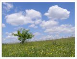 г. Орёл, image of landscape/habitat.