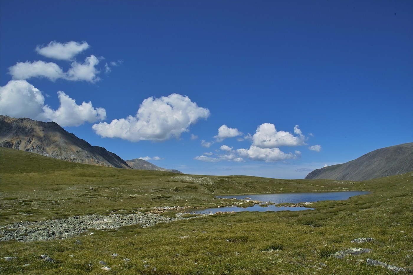 Курай, image of landscape/habitat.