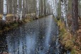 Landscape image