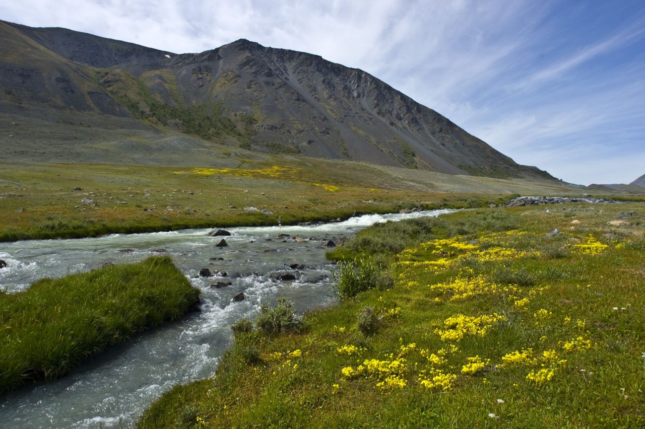 Устье Налиа-Гол, image of landscape/habitat.