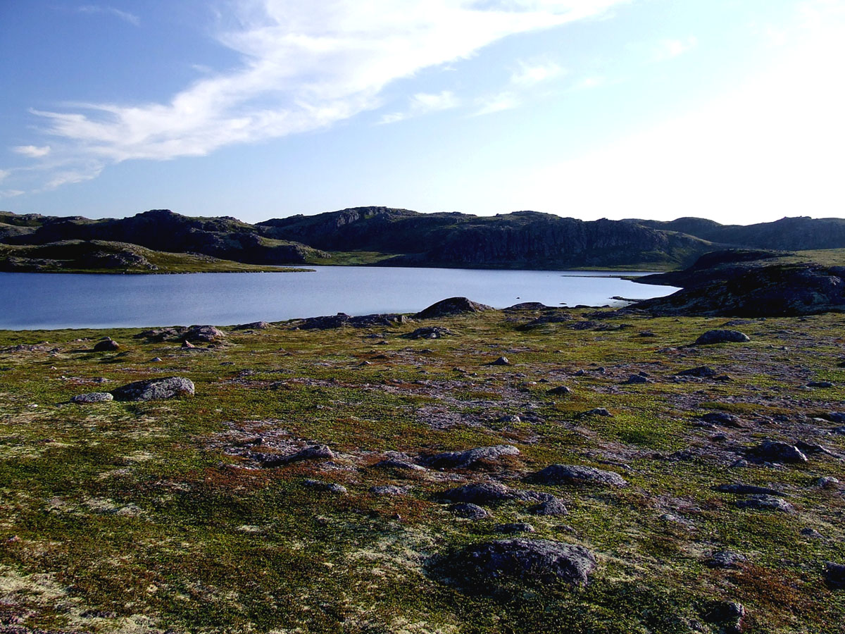 Большое Хариусовое озеро, image of landscape/habitat.